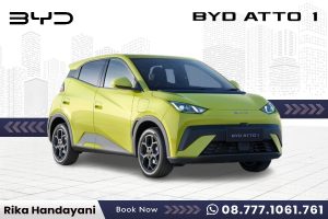 BYD ATTO 1