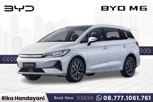 BYD M6