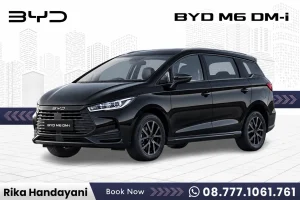 BYD M6 DM-i