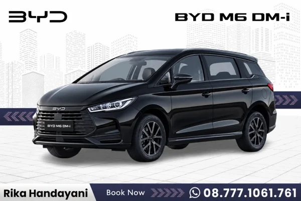 BYD M6 DM-i