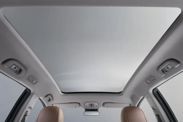 BYD M6 DM-i